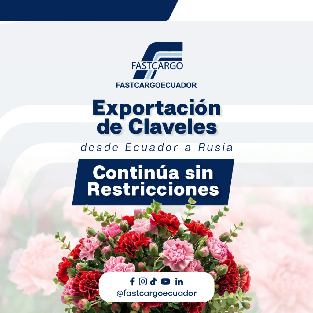 Ecuador y Rusia, exportación de claveles sin restricciones.
